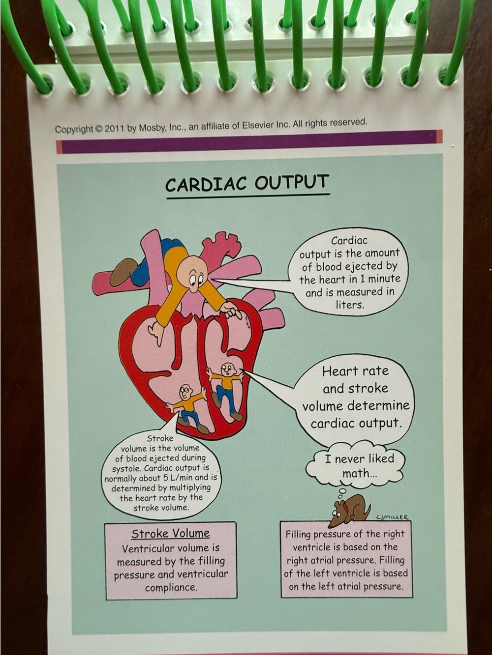 Mosby’s Pathophysiology Nurses Medical Memory Note Cards. In Color. - Picture 5 of 7